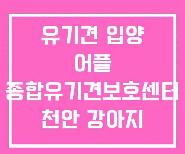 유기견 입양 어플 종합유기견보호센터 천안 강아지 무료분양 유기견 입양 어플 종합유기견보호센터 천안 강아지 무료분양