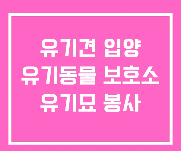 유기견 입양 유기동물 보호소 유기묘 봉사 유기견 입양 유기동물 보호소 유기묘 봉사