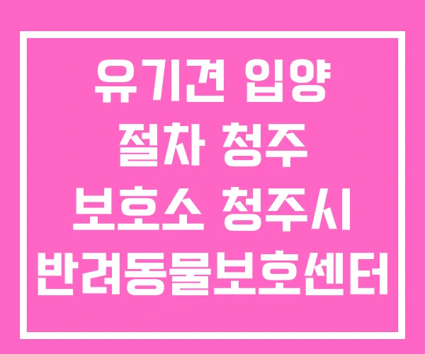 유기견 입양 절차 청주 보호소 청주시 반려동물보호센터 유기견 입양 절차 청주 보호소 청주시 반려동물보호센터