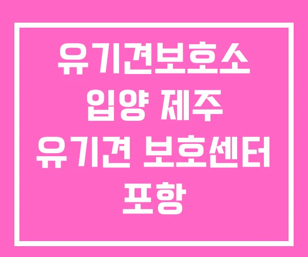 유기견보호소 입양 제주 유기견 보호센터 포항 유기견보호소 입양 제주 유기견 보호센터 포항