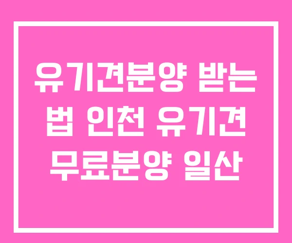 유기견분양 받는 법 인천 유기견 무료분양 일산 유기견분양 받는 법 인천 유기견 무료분양 일산