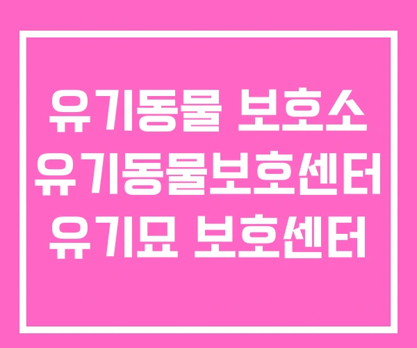 유기동물 보호소 유기동물보호센터 유기묘 보호센터 유기동물 보호소 유기동물보호센터 유기묘 보호센터