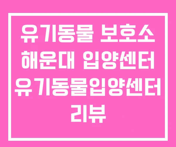 유기동물 보호소 해운대 입양센터 유기동물입양센터 리뷰 유기동물 보호소 해운대 입양센터 유기동물입양센터 리뷰