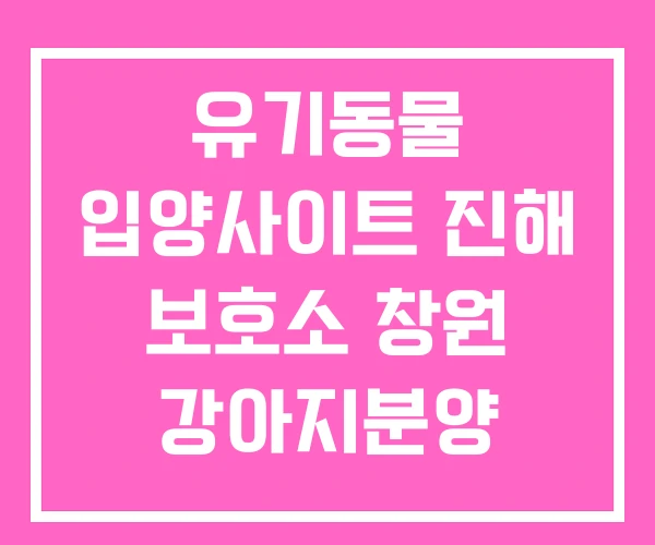 유기동물 입양사이트 진해 보호소 창원 강아지분양 유기동물 입양사이트 진해 보호소 창원 강아지분양