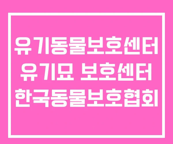 유기동물보호센터 유기묘 보호센터 한국동물보호협회 유기동물보호센터 유기묘 보호센터 한국동물보호협회