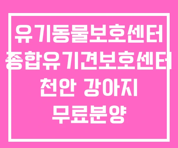 유기동물보호센터 종합유기견보호센터 천안 강아지 무료분양 유기동물보호센터 종합유기견보호센터 천안 강아지 무료분양