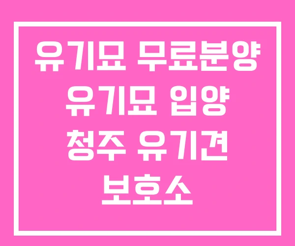 유기묘 무료분양 유기묘 입양 청주 유기견 보호소 유기묘 무료분양 유기묘 입양 청주 유기견 보호소