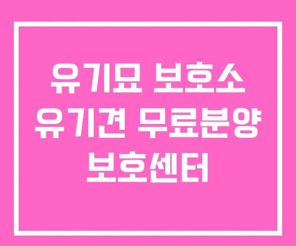 유기묘 보호소 유기견 무료분양 보호센터