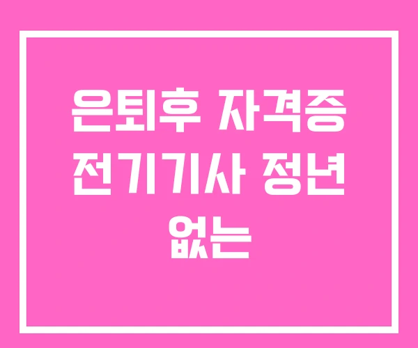 은퇴후 자격증 전기기사 정년 없는