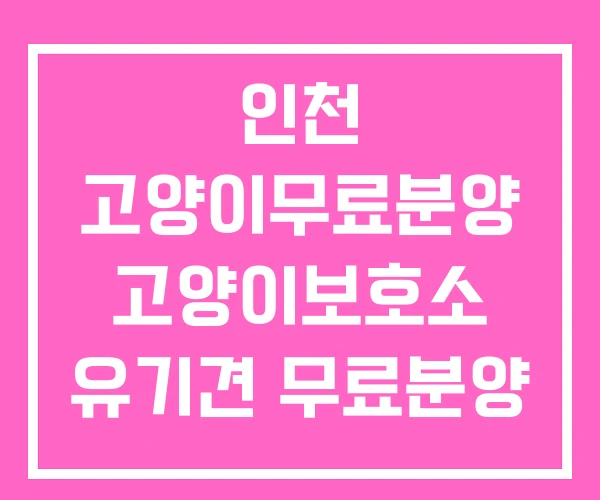 인천 고양이무료분양 고양이보호소 유기견 무료분양