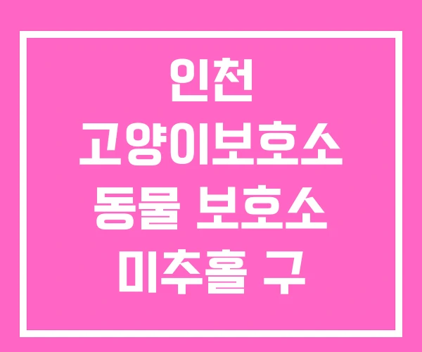 인천 고양이보호소 동물 보호소 미추홀 구 유기견 인천 고양이보호소 동물 보호소 미추홀 구 유기견