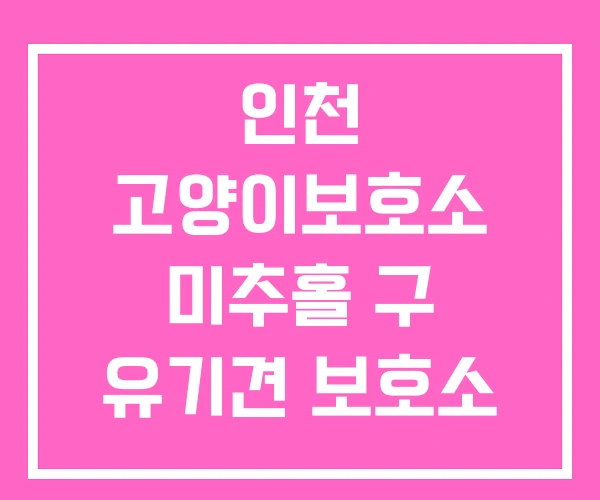 인천 고양이보호소 미추홀 구 유기견 보호소 서구