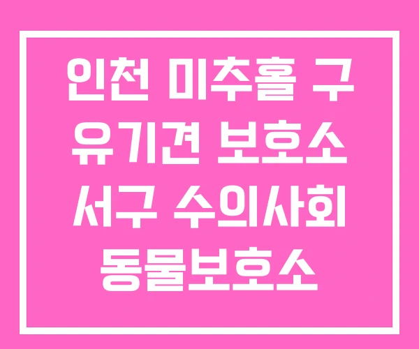 인천 미추홀 구 유기견 보호소 서구 수의사회 동물보호소 인천 미추홀 구 유기견 보호소 서구 수의사회 동물보호소