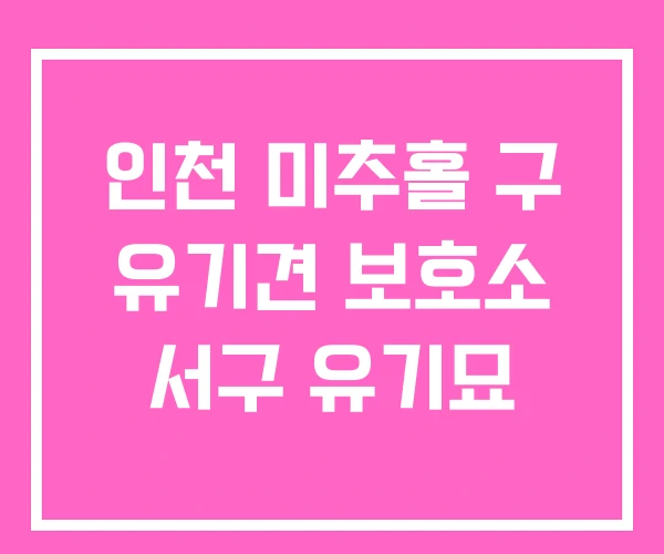 인천 미추홀 구 유기견 보호소 서구 유기묘 인천 미추홀 구 유기견 보호소 서구 유기묘