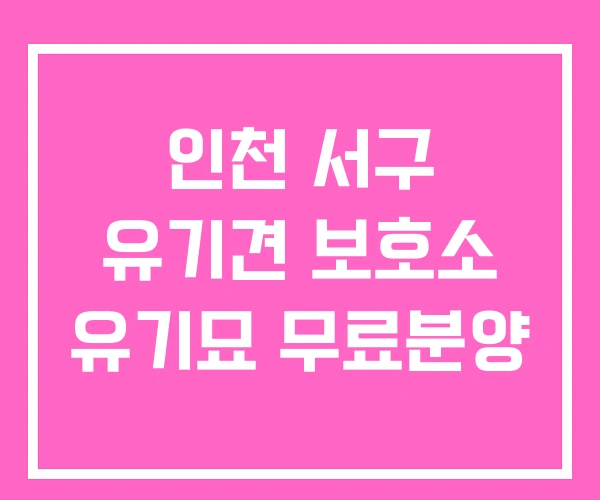 인천 서구 유기견 보호소 유기묘 무료분양