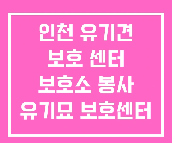 인천 유기견 보호 센터 보호소 봉사 유기묘 보호센터