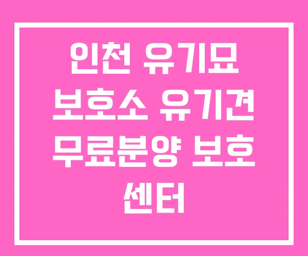 인천 유기묘 보호소 유기견 무료분양 보호 센터 인천 유기묘 보호소 유기견 무료분양 보호 센터