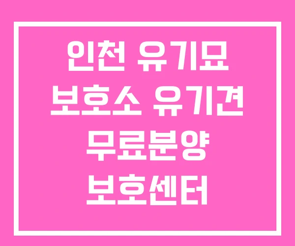 인천 유기묘 보호소 유기견 무료분양 보호센터 인천 유기묘 보호소 유기견 무료분양 보호센터