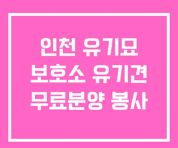 인천 유기묘 보호소 유기견 무료분양 봉사 인천 유기묘 보호소 유기견 무료분양 봉사