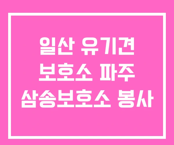 일산 유기견 보호소 파주 삼송보호소 봉사 일산 유기견 보호소 파주 삼송보호소 봉사