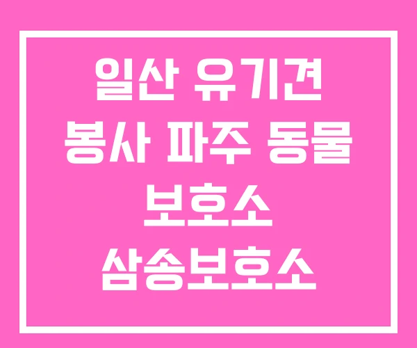 일산 유기견 봉사 파주 동물 보호소 삼송보호소