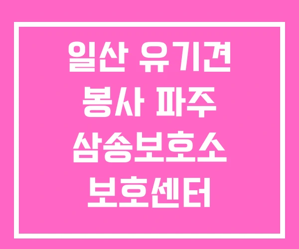 일산 유기견 봉사 파주 삼송보호소 보호센터