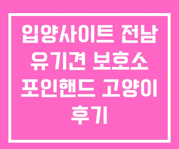 입양사이트 전남 유기견 보호소 포인핸드 고양이 후기