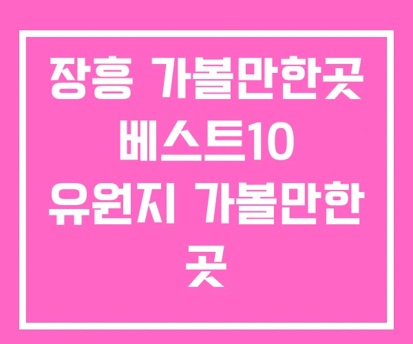 장흥 가볼만한곳 베스트10 유원지 가볼만한 곳