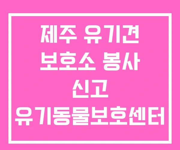 제주 유기견 보호소 봉사 신고 유기동물보호센터