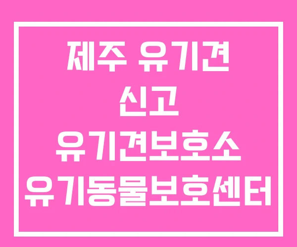 제주 유기견 신고 유기견보호소 유기동물보호센터