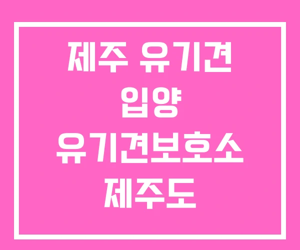 제주 유기견 입양 유기견보호소 제주도 고양이분양