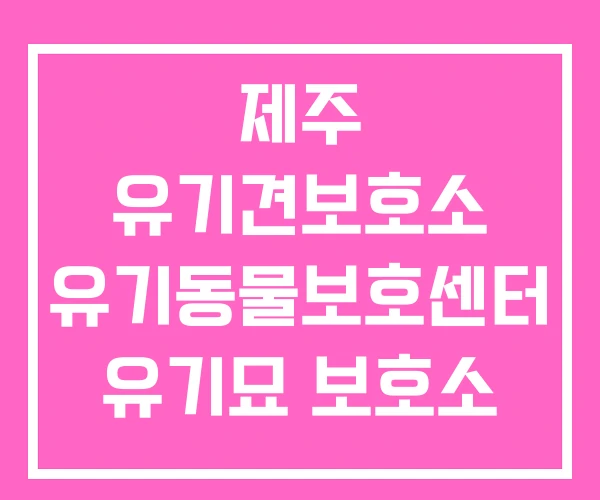 제주 유기견보호소 유기동물보호센터 유기묘 보호소 제주 유기견보호소 유기동물보호센터 유기묘 보호소