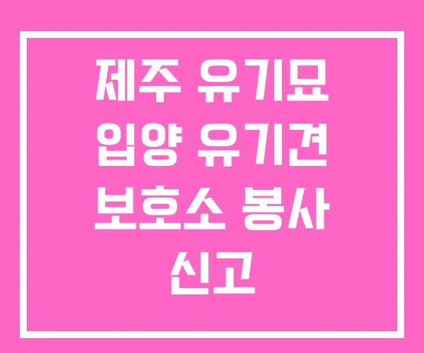 제주 유기묘 입양 유기견 보호소 봉사 신고 제주 유기묘 입양 유기견 보호소 봉사 신고