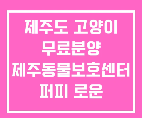 제주도 고양이 무료분양 제주동물보호센터 퍼피 로운 제주도 고양이 무료분양 제주동물보호센터 퍼피 로운