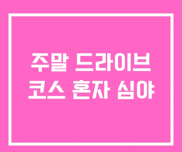 주말 드라이브 코스 혼자 심야