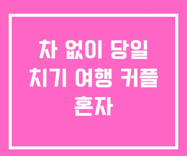 차 없이 당일 치기 여행 커플 혼자