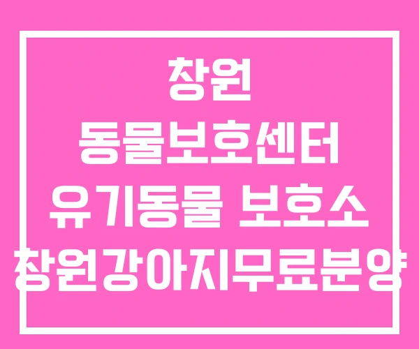 창원 동물보호센터 유기동물 보호소 창원강아지무료분양