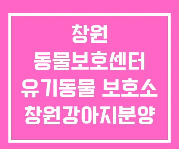 창원 동물보호센터 유기동물 보호소 창원강아지분양