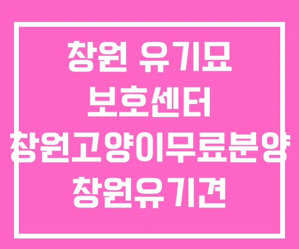 창원 유기묘 보호센터 창원고양이무료분양 창원유기견 보호소 창원 유기묘 보호센터 창원고양이무료분양 창원유기견 보호소