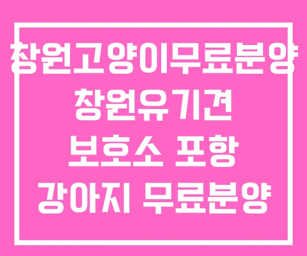 창원고양이무료분양 창원유기견 보호소 포항 강아지 무료분양