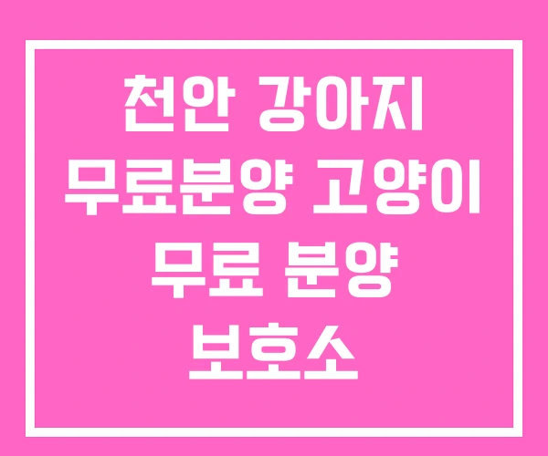 천안 강아지 무료분양 고양이 무료 분양 보호소