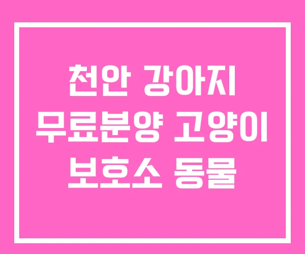 천안 강아지 무료분양 고양이 보호소 동물 천안 강아지 무료분양 고양이 보호소 동물