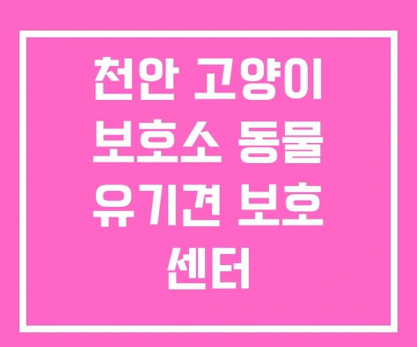 천안 고양이 보호소 동물 유기견 보호 센터 천안 고양이 보호소 동물 유기견 보호 센터