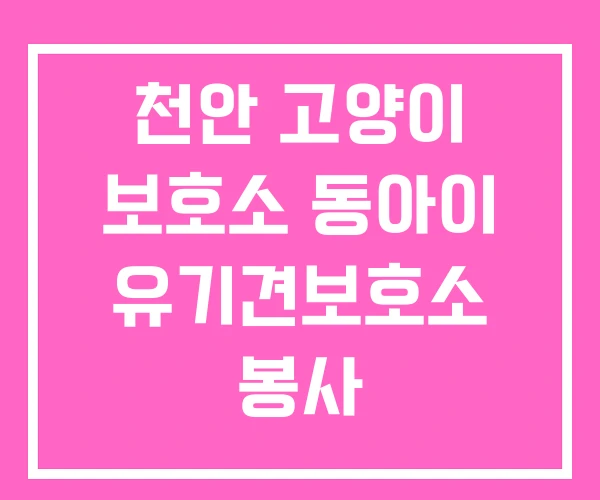 천안 고양이 보호소 동아이 유기견보호소 봉사 천안 고양이 보호소 동아이 유기견보호소 봉사