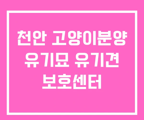 천안 고양이분양 유기묘 유기견 보호센터