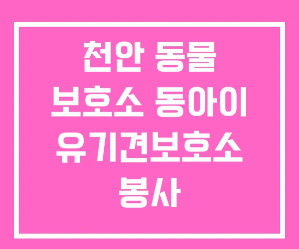 천안 동물 보호소 동아이 유기견보호소 봉사 천안 동물 보호소 동아이 유기견보호소 봉사