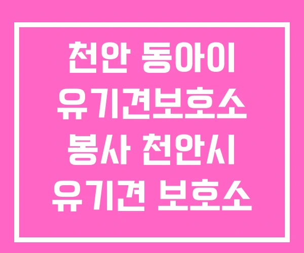 천안 동아이 유기견보호소 봉사 천안시 유기견 보호소 천안 동아이 유기견보호소 봉사 천안시 유기견 보호소