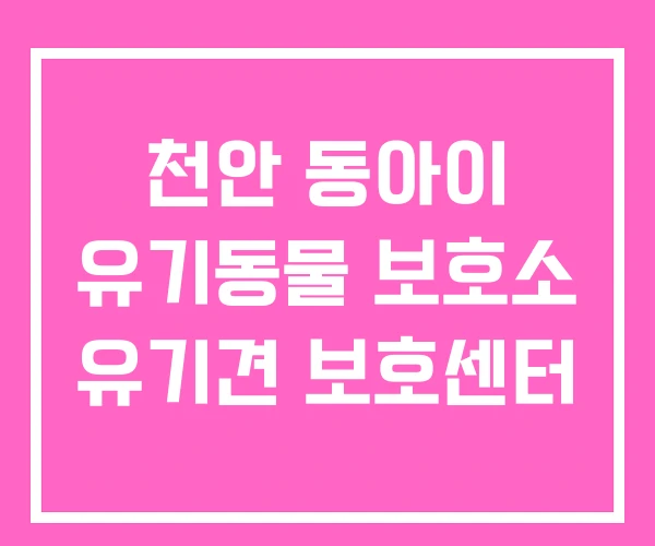 천안 동아이 유기동물 보호소 유기견 보호센터 천안 동아이 유기동물 보호소 유기견 보호센터