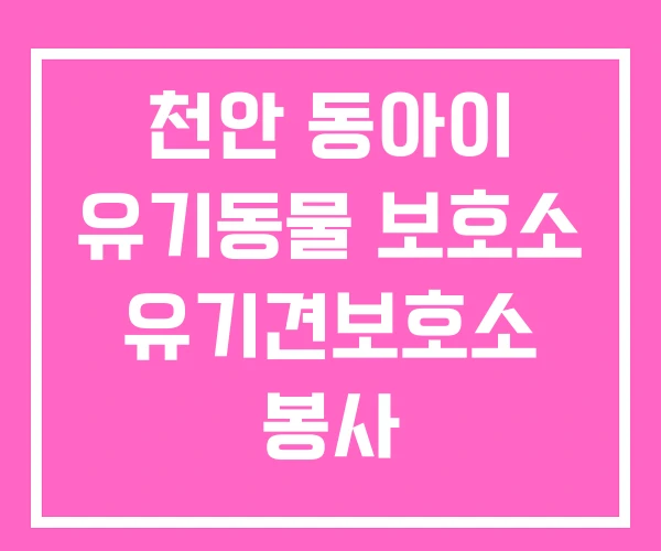 천안 동아이 유기동물 보호소 유기견보호소 봉사 천안 동아이 유기동물 보호소 유기견보호소 봉사