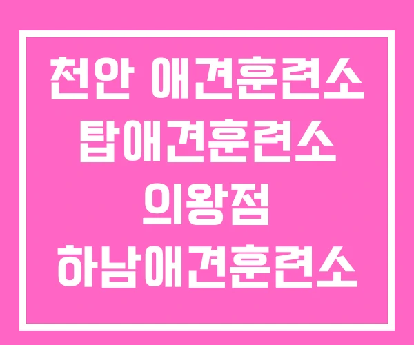 천안 애견훈련소 탑애견훈련소 의왕점 하남애견훈련소
